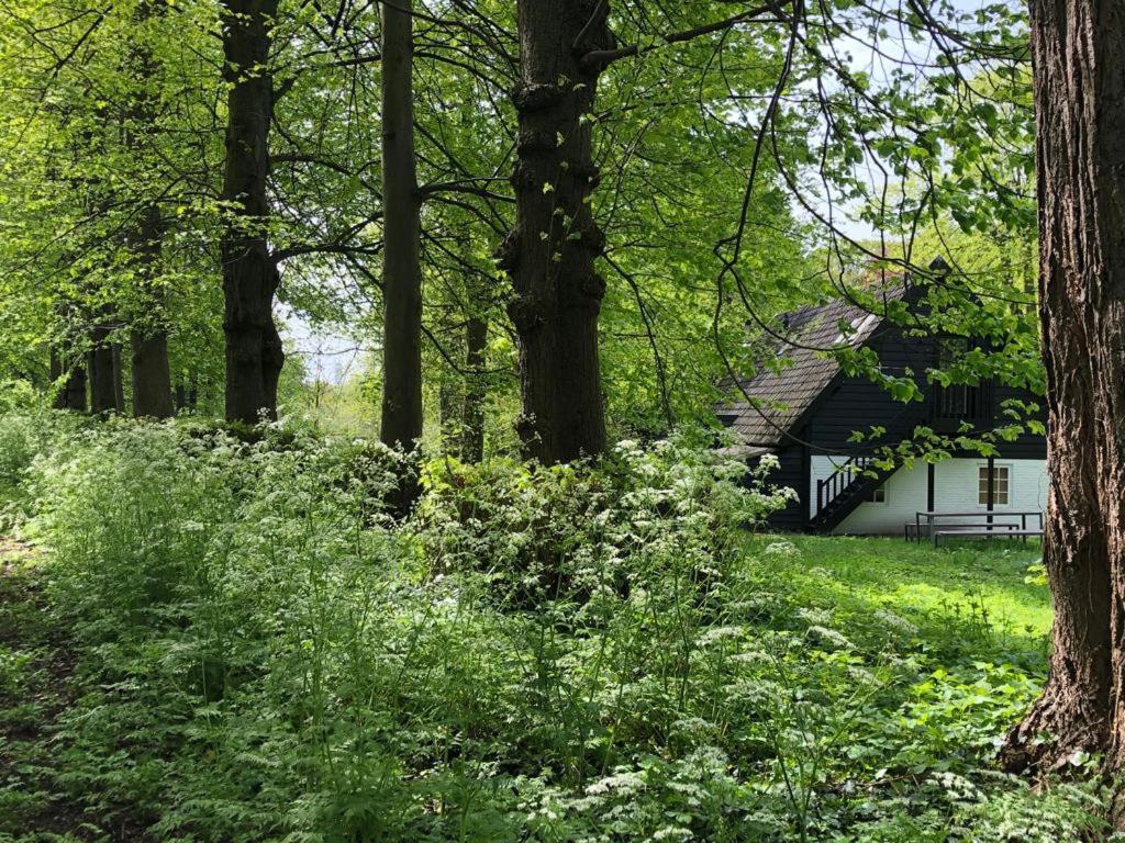 Het Wagenhuis Loon op Zand Exterior photo